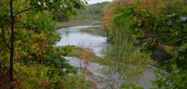 Photo of Manistee River in the fall, view from North Country Trail